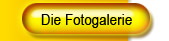 Die Fotogalerie